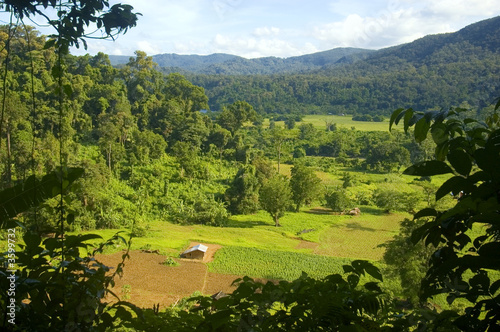 A view from the rain forest of Palanan, Isabela, Philippines
