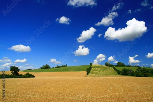 beautiful look on landscape in summer beautiful look on landscape in summer
