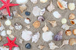 Shell