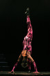 Danseuse