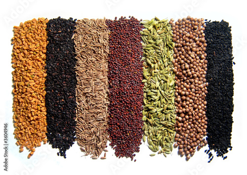 Indian spices. 8 pcs. Isolated on white. Indian spices. 8 pcs. Isolated on white.