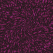 an abstract purple and black background or texture 