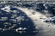 Ice dreamscape
