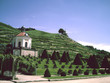 Schloss Wackerbarth