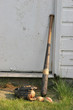 Baseball bat with glove and balls