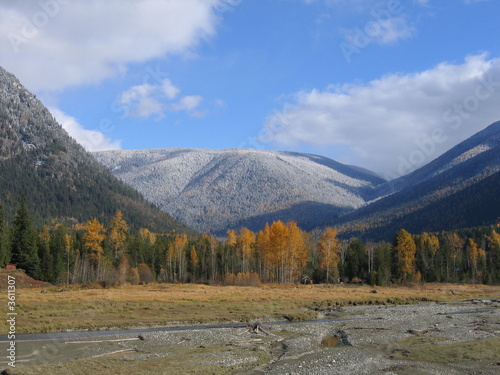 Autumn Splendor