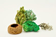 Coral & Seaweed 07