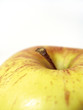 Foto: Manzana Granny Smith Manzana Granny Smith
