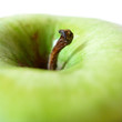 Foto: manzana golden manzana golden