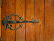 Old Door Hinge