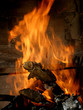 Fuego a tierra
