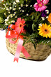 Colorful flowers in brown basket over white