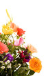 Variety of colorful flowers over white