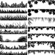Plant borders