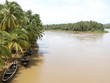 a river in kerala, south india, in the rainy season 