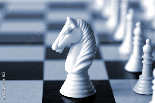 White knight on a chess board.  