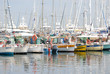 Port de Cannes (France) Port de Cannes (France)