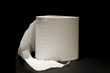 series object on black - toilet paper