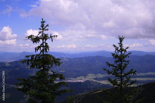 2 tree landscape 2 tree landscape