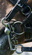 Dressage tack close up
