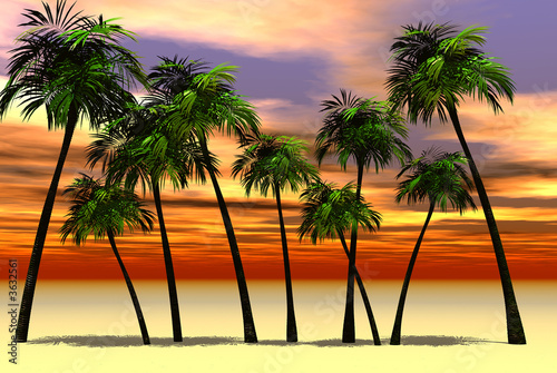 Photo: 3D render of palm tree 3D render of palm tree