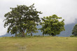 Nam-Ngum-Stausee in Laos