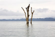 Nam-Ngum-Stausee in Laos