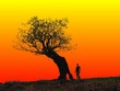 Girl by Crooked Tree Sunset