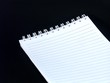 Blank book