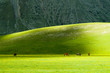 prato