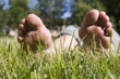feet relaxing on grass (summer time)