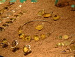 Jewellery 1