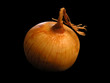 Golden onion closeup on black background Golden onion closeup on black background