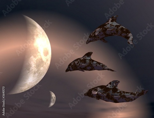 Dauphins