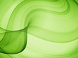 olive curves