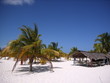 Karibische Strandbar Karibische Strandbar