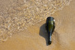 Bottle on the beach, with clear sea.