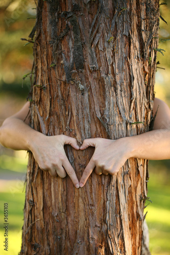 environmentalist hugging pine tree and making a heart. 