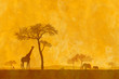 Natura - La natura Natura - La natura