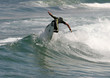 surf