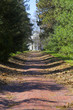 Park