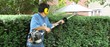 hedge trimming