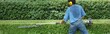 hedge trimming