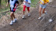 coureurs à pied coureurs à pied