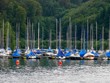 Boote