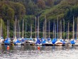 Boote
