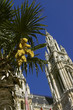 Vienna City hall