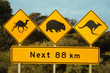 Danger animaux