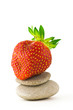 Photo: Strawberry like zen Strawberry like zen