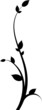Floral design